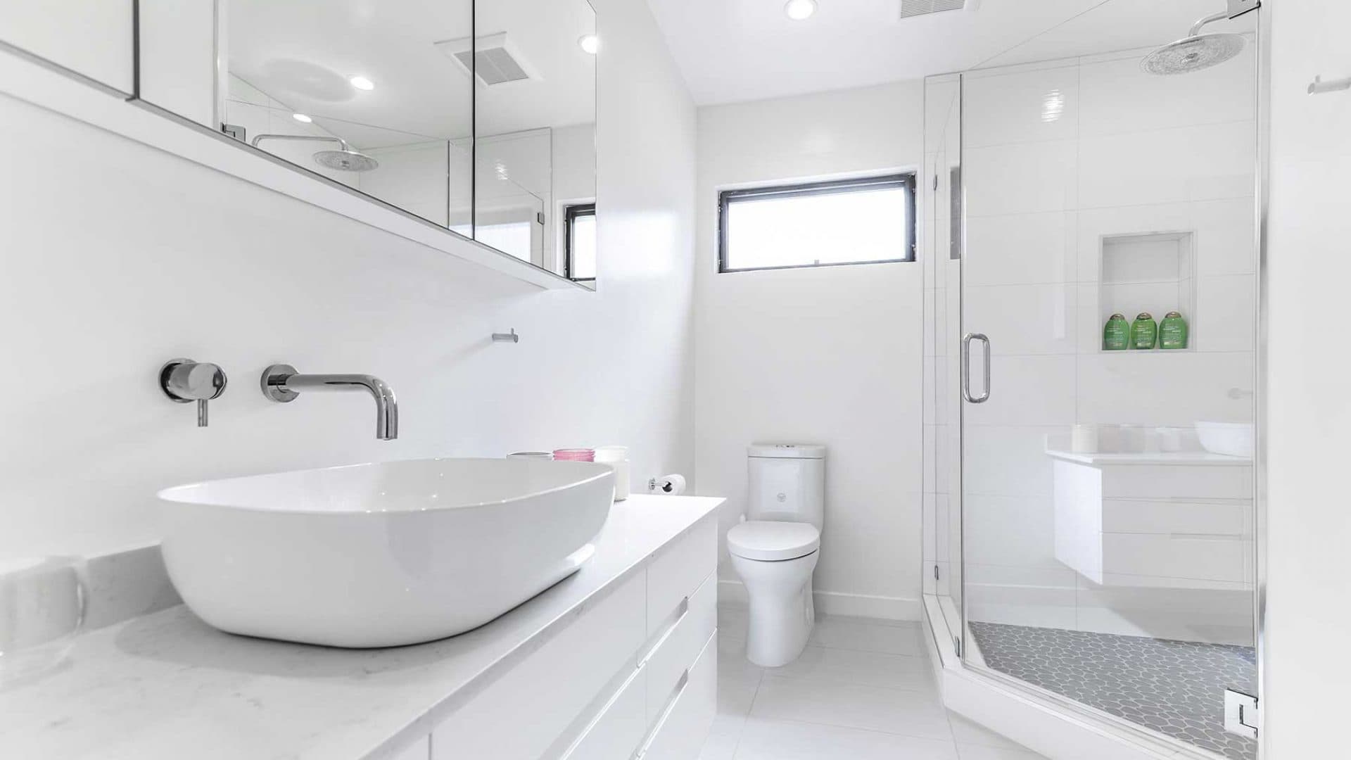 Fremont Renovation Project
