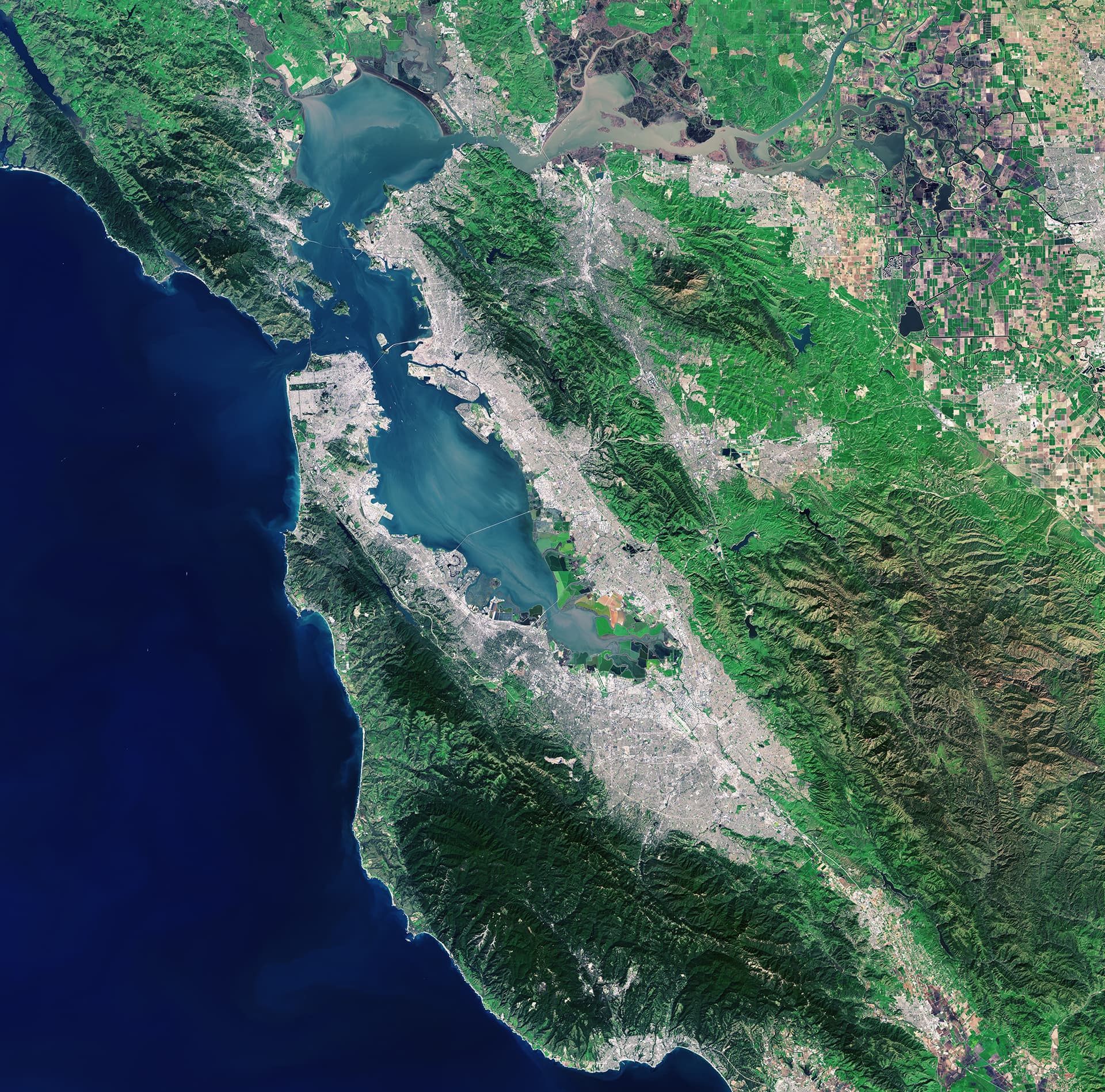 Bay Area Service Map